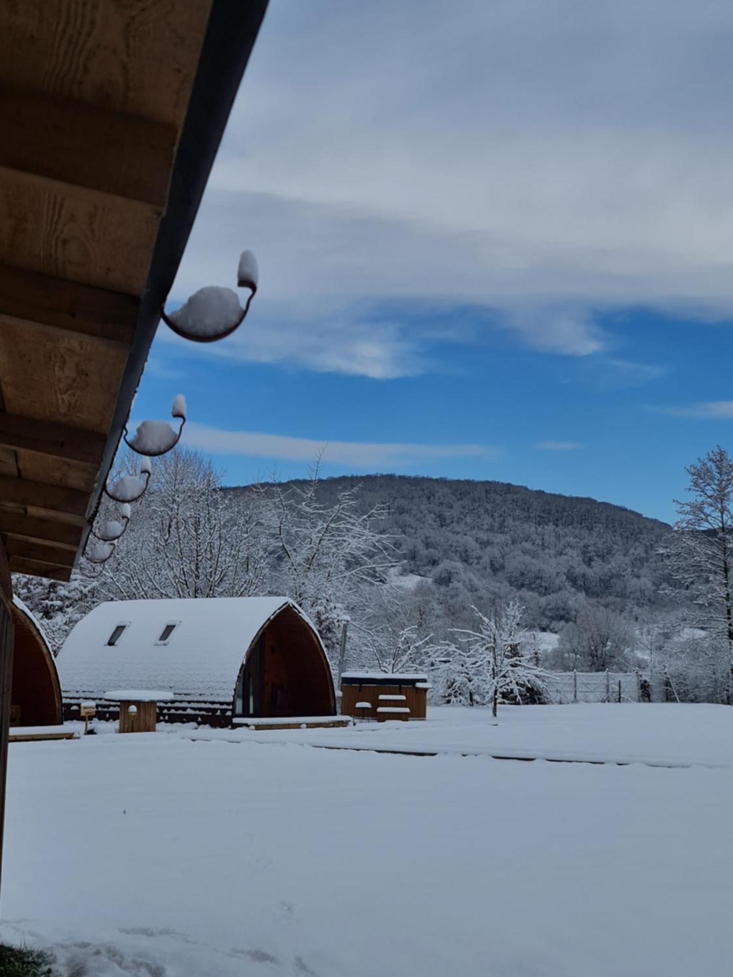 Casute In Mijlocul Naturii - Wild Camp Avrig Ngoại thất bức ảnh