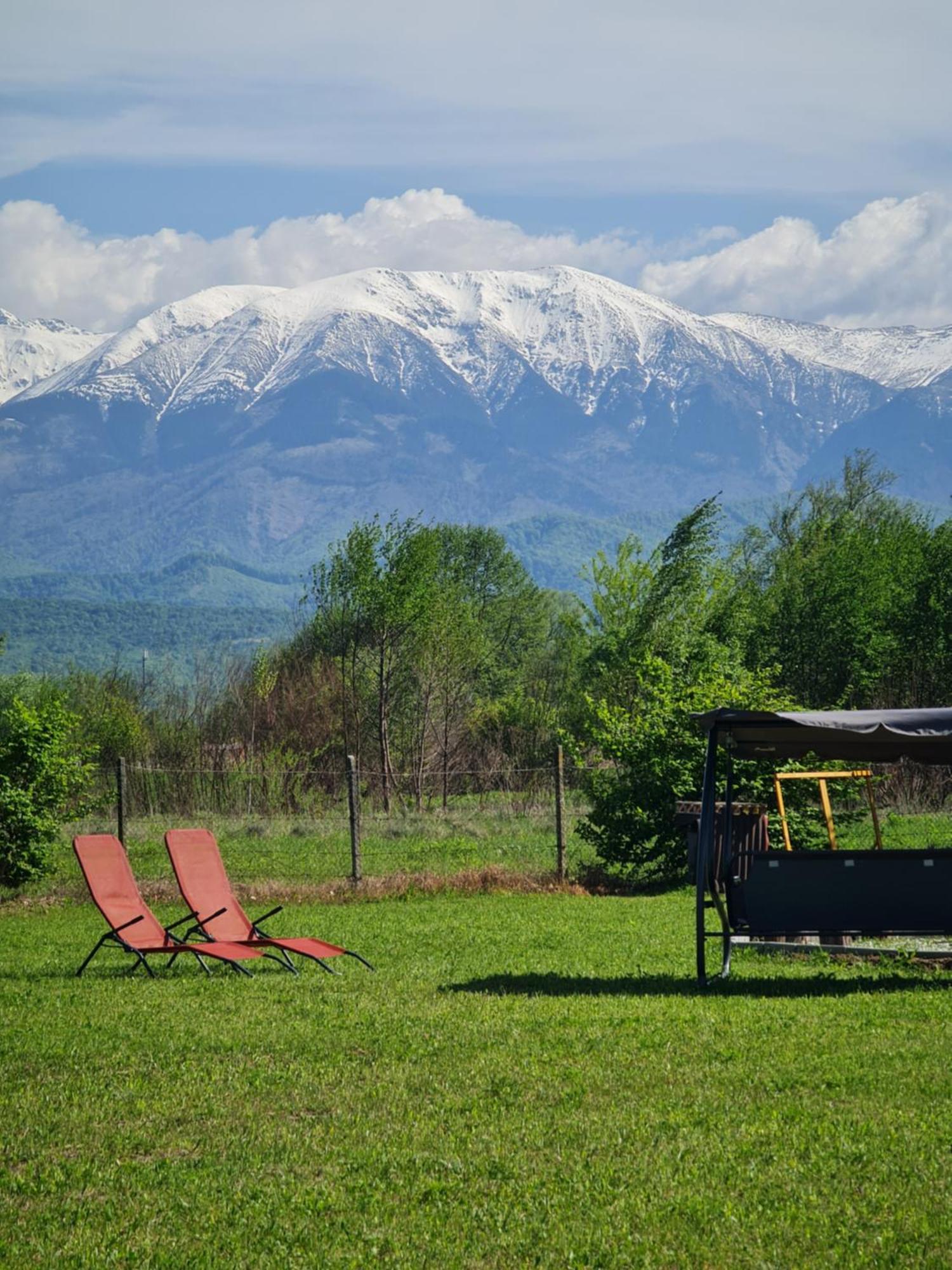 Casute In Mijlocul Naturii - Wild Camp Avrig Ngoại thất bức ảnh