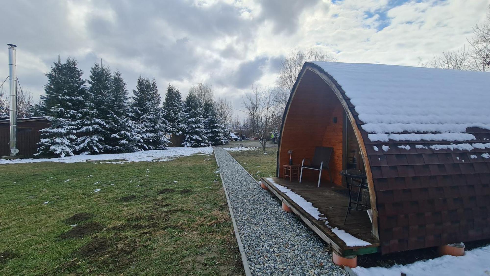 Casute In Mijlocul Naturii - Wild Camp Avrig Ngoại thất bức ảnh